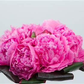 fwthumbPeonie Bouquet Close Up.jpg